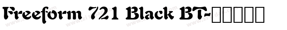 Freeform 721 Black BT字体转换